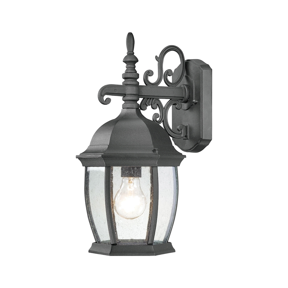 Covington 1-Light Outdoor Wall Lantern in Black