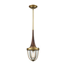 ELK Home Plus 33140/1 - Sturgis 1-Light Mini Pendant in Brushed Antique Brass with Clear Blown Glass