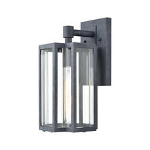 ELK Home Plus 45164/1 - Bianca 1-Light Sconce in Aged Zinc with Clear