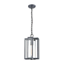 ELK Home Plus 45167/1 - Bianca 1-Light Hanging in Aged Zinc with Clear