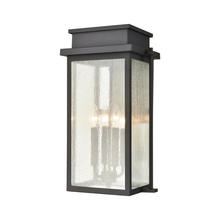 ELK Home Plus 45442/4 - Braddock 4-Light Outdoor Sconce in Architectural Bronze with Seedy Glass Enclosure