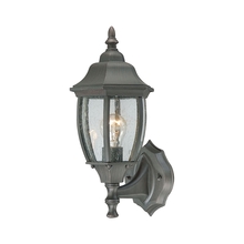 ELK Home Plus SL922363 - Covington 1-Light Outdoor Wall Lantern in Painted Bronze