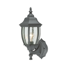 ELK Home Plus SL92237 - Covington 1-Light Outdoor Wall Lantern in Black