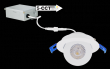 Elco Lighting ERT317CT5W - 3" Round Adjustable Eyeball Downlight with 5-CCT Switch