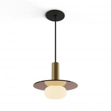 Koncept Inc CMP-S1-S-06-BRS+GTEA9+GLB - Combi Pendant 6" Single Unit Brass with Matte Black Canopy, 9" glass plate (Tea Brown) attac