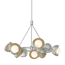 Hubbardton Forge 131068-SKT-MULT-85-84-GG0711 - Brooklyn 9-Light Double Shade Ring Pendant