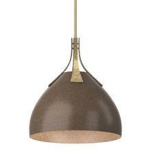 Hubbardton Forge 134502-SKT-MULT-86-05 - Summit Pendant