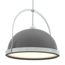 Hubbardton Forge 137462-SKT-MULT-82-10 - Atlas Large Pendant