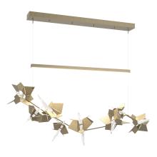 Hubbardton Forge 139813-LED-STND-84-84-CR - Belladonna LED Pendant