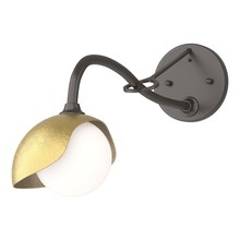 Hubbardton Forge 201376-SKT-14-86-GG0711 - Brooklyn 1-Light Single Shade Long-Arm Sconce