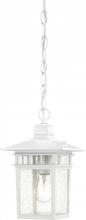 Nuvo 60/4954 - Cove Neck - 1 Light 12" Hanging Lantern with Clear Seed Glass - White Finish