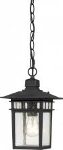 Nuvo 60/4956 - Cove Neck - 1 Light 12" Hanging Lantern with Clear Seed Glass - Textured Black Finish