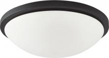 Nuvo 62/1444 - Button LED - 17"- Flush with Frosted Glass - Black Finish