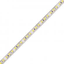 Diode Led DI-12V-BL42-8016 - BLAZE LED Tape Light - 12V, 4200K, 80 CRI, 16.4 ft.