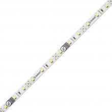 Diode Led DI-12V-FV20-80100 - FLUID VIEW LED Tape Light - 12V, 2000K, 80 CRI, 100 ft.