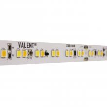 Diode Led DI-24V-VL1-WD3018-100 - STRIP/TAPE LIGHT